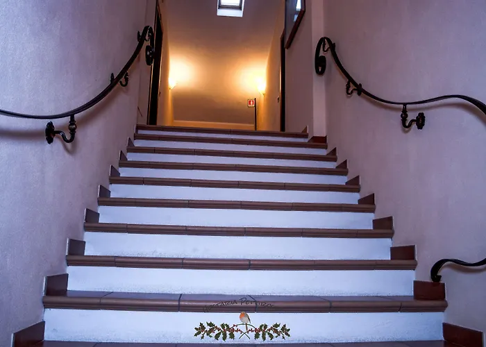 Hostaria Pettirosso Szálloda *